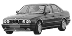 BMW E34 P3530 Fault Code